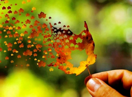 Phật dạy đời người ngắn ngủi...